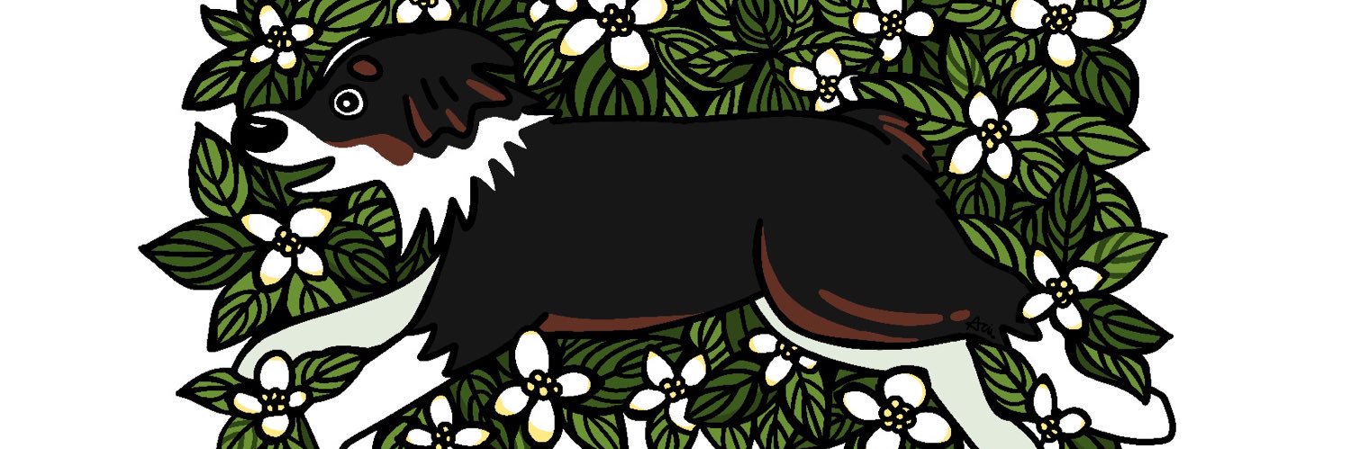 ars_1029's profile banner image