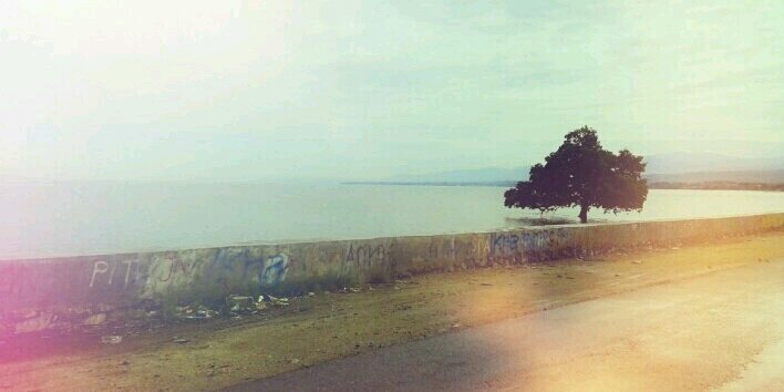 dwijaya29's profile banner image