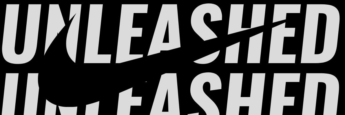 TeamUnleashedEYBL banner