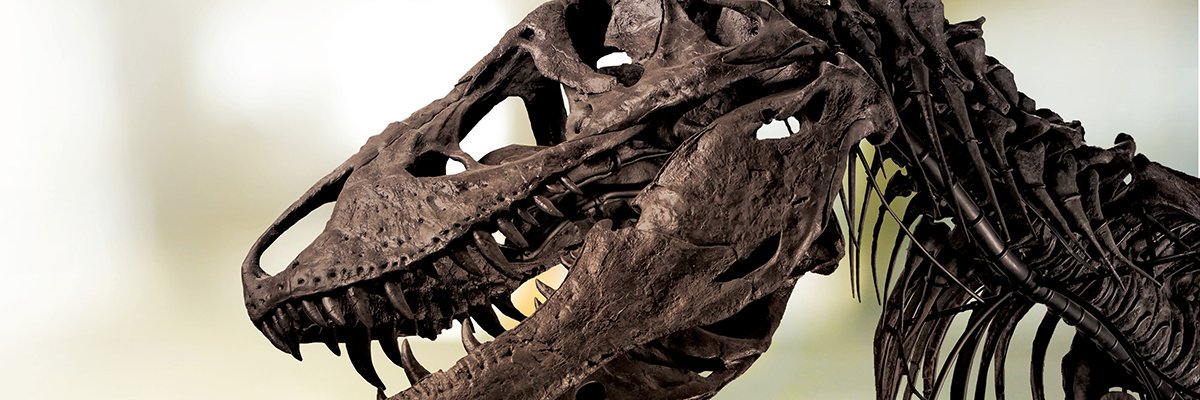 Natural History Museums of L.A. County banner