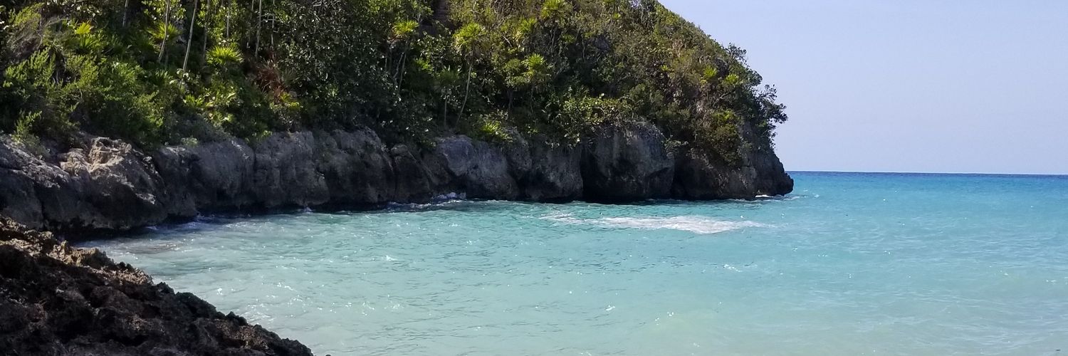 Just call me Summer 🏝 banner