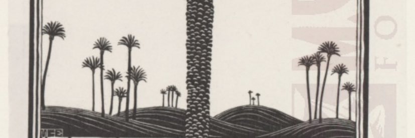 sitoirien's profile banner image