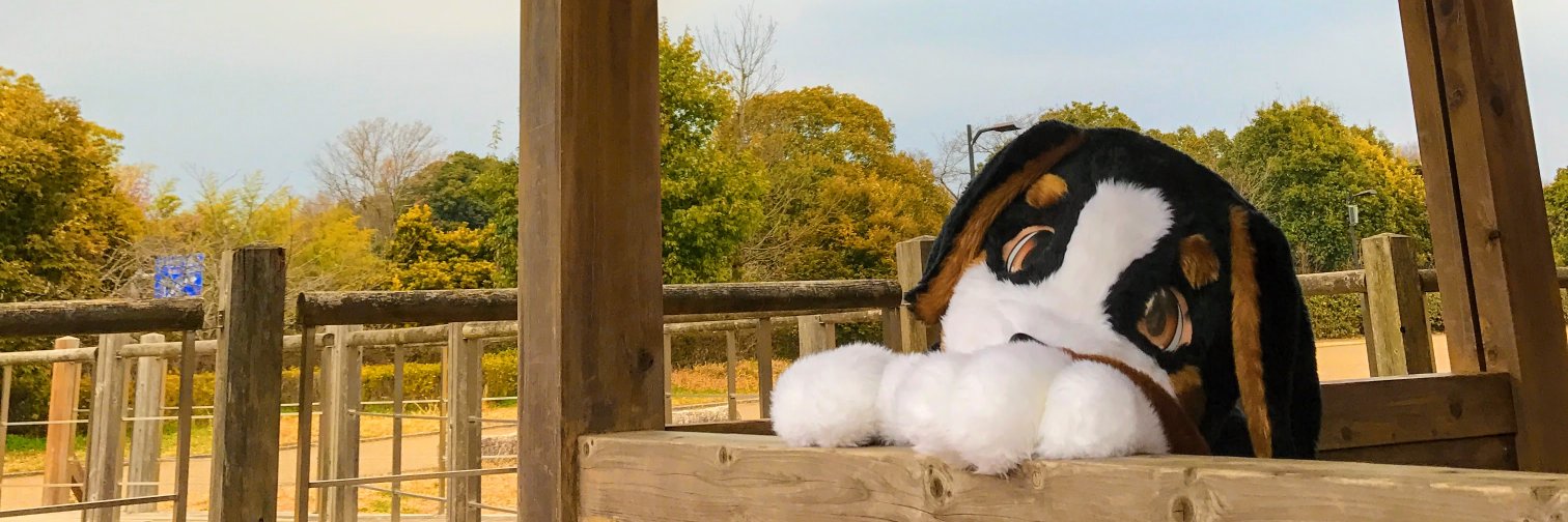 lacquered's profile banner image