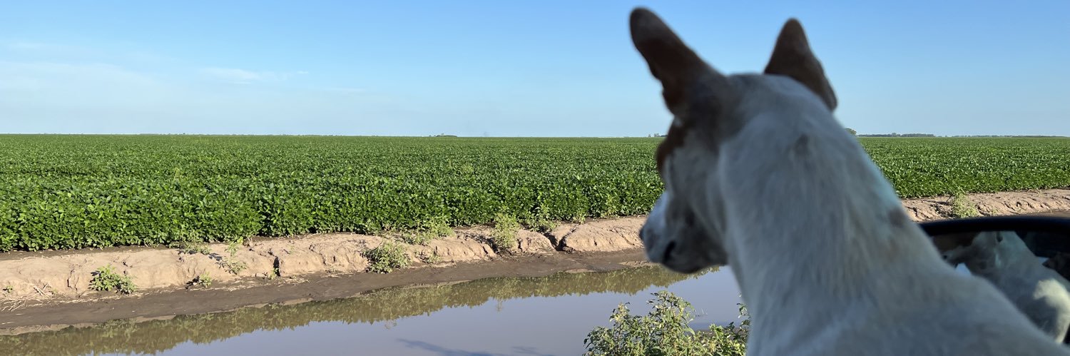 SebUgartemendia's profile banner image