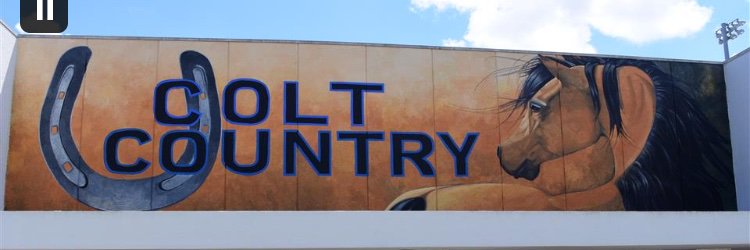 Ms. Warren BRACE Advisor banner