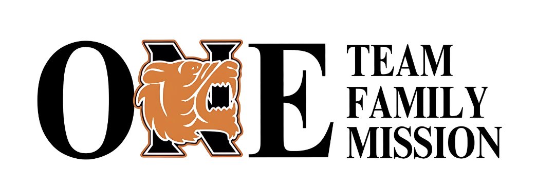 Norman High Volleyball banner