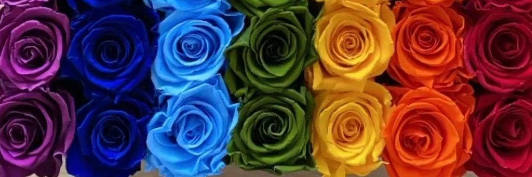 ValentinoSCRT's profile banner image