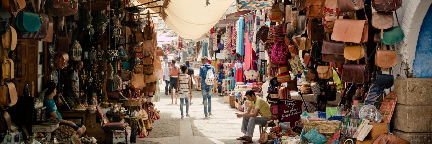 بوابة الشمول المالي من أجل التنمية banner