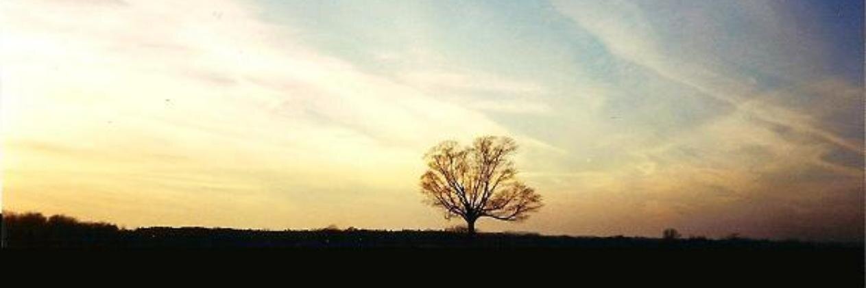 Lieutelant's profile banner image