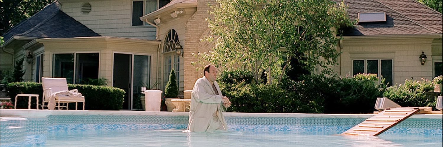 Antonio Vico banner