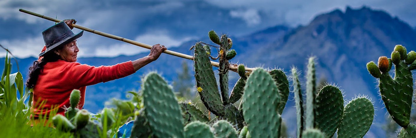 Portal FinDev banner