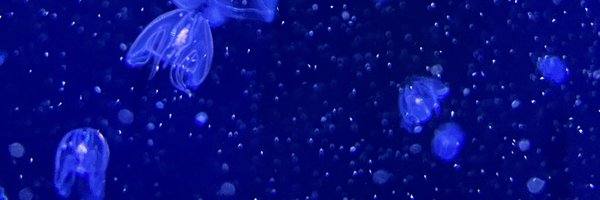 Jclineshow Profile Banner