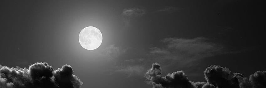 ins1_moro's profile banner image