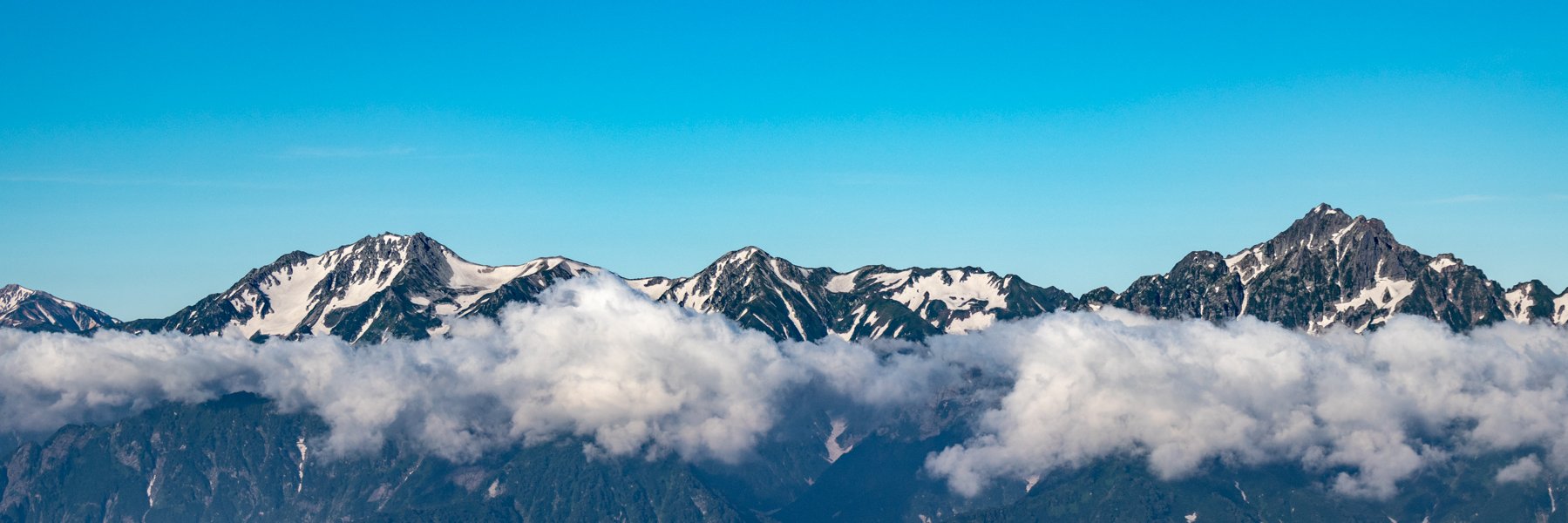 zanloui's profile banner image