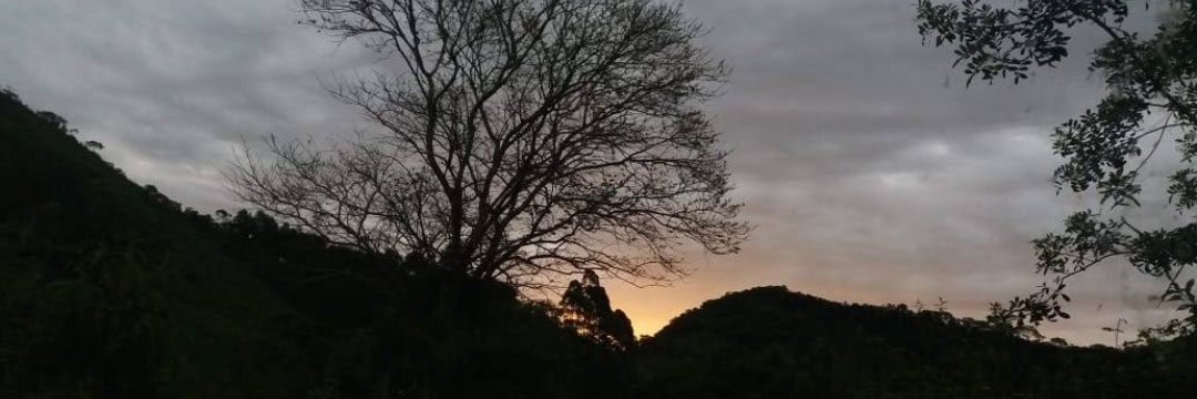 cec_isabella's profile banner image