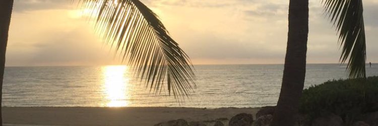 mikemaggiolo's profile banner image
