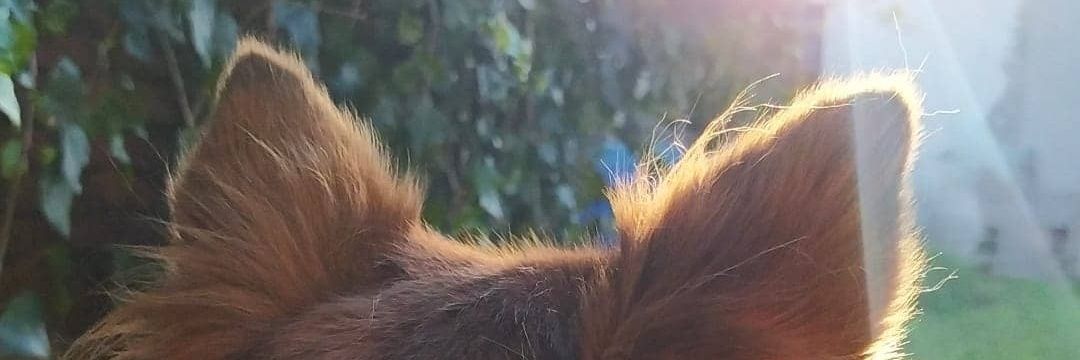 AbrilTiberio's profile banner image