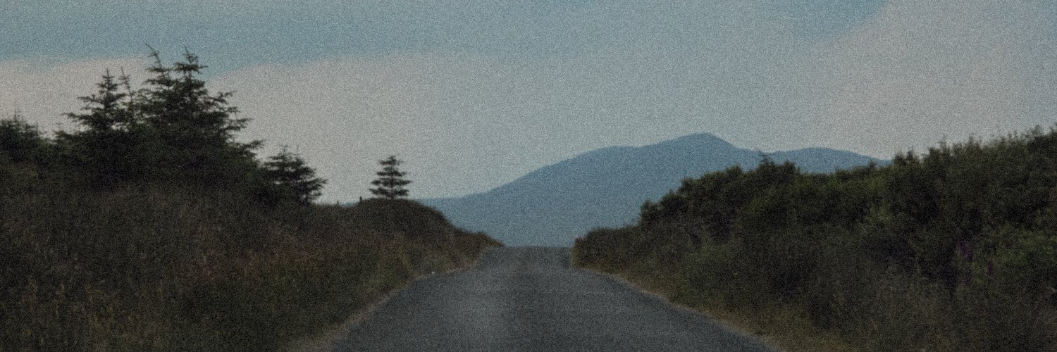 nocturnalnerve's profile banner image