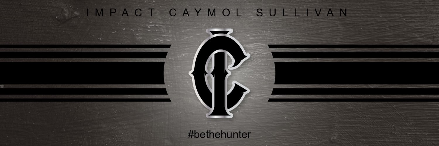 Impact Caymol Premier Sullivan banner