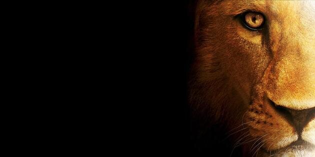 محمد الزرنوقي 𐩣𐩢𐩣𐩵 𐩽 𐩱𐩡𐩸𐩧𐩬𐩥𐩤𐩺 banner