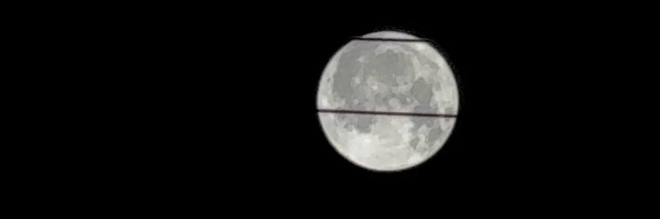 MARenee22's profile banner image