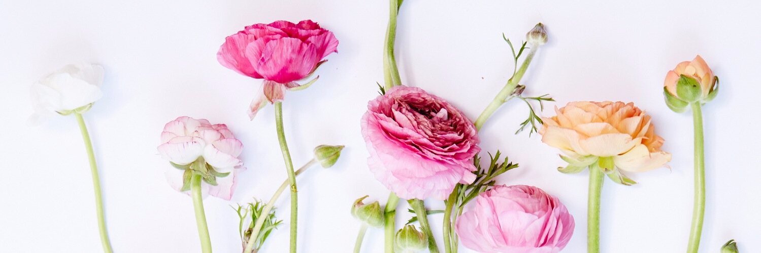 chloetydee's profile banner image