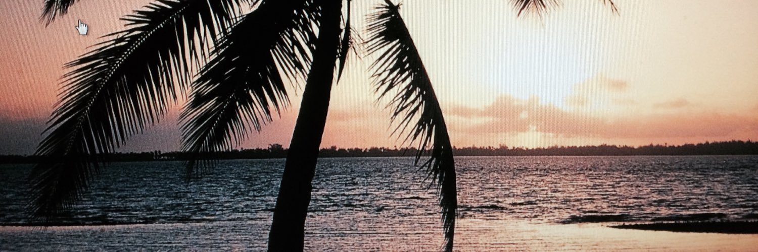 TMKOVIC's profile banner image