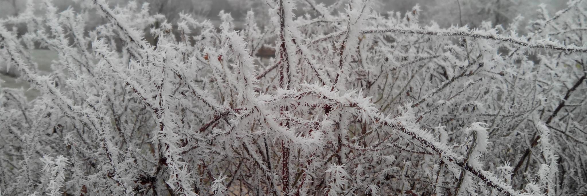 bsky.affine.group banner