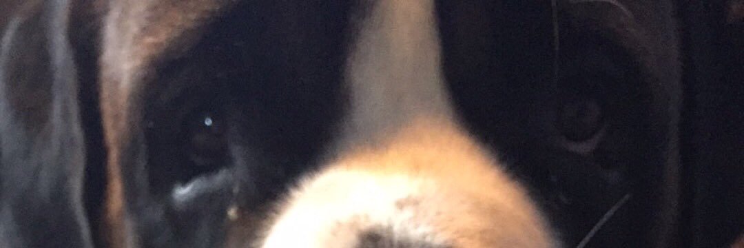 morganhackett1's profile banner image