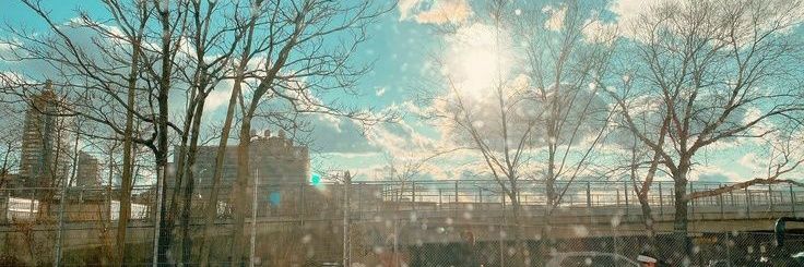 vidyarh_'s profile banner image