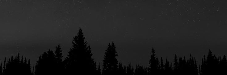 mauromelo55's profile banner image