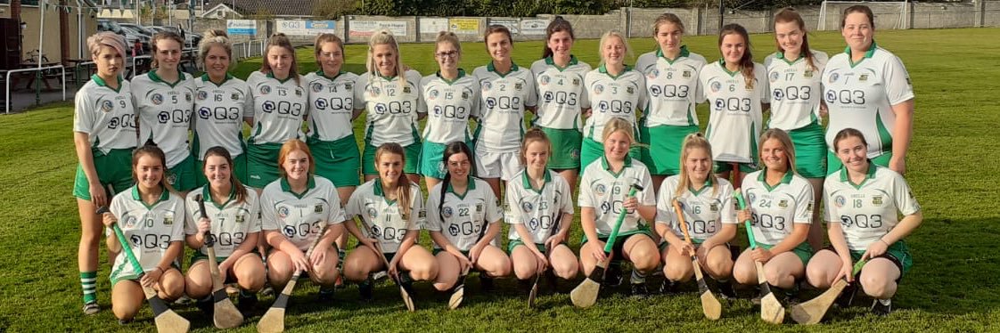 Ballybrown Camogie banner