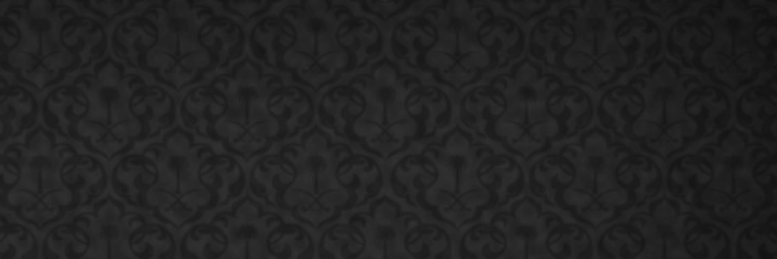 binladnah's profile banner image