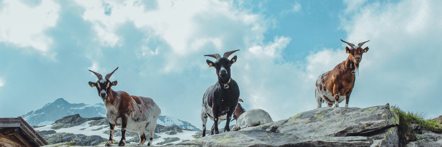 danthemanswer's profile banner image