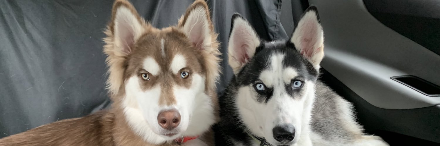 jtimm25's profile banner image