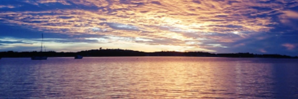 Christopher Yardin banner