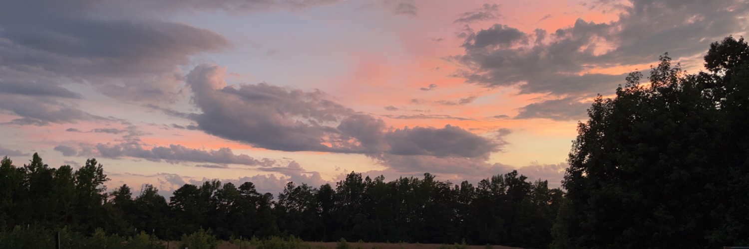 madison_jacobss's profile banner image