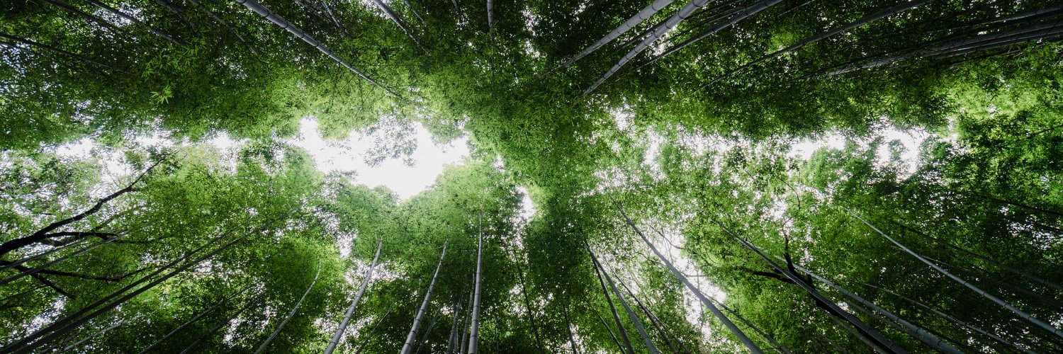 Decade for Change banner