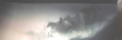 Twitt Caribe QRoo MX banner