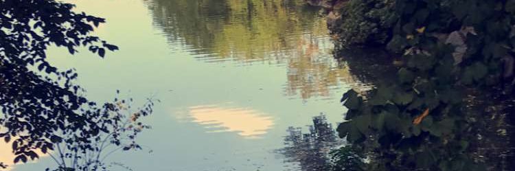 Pwoeowu's profile banner image