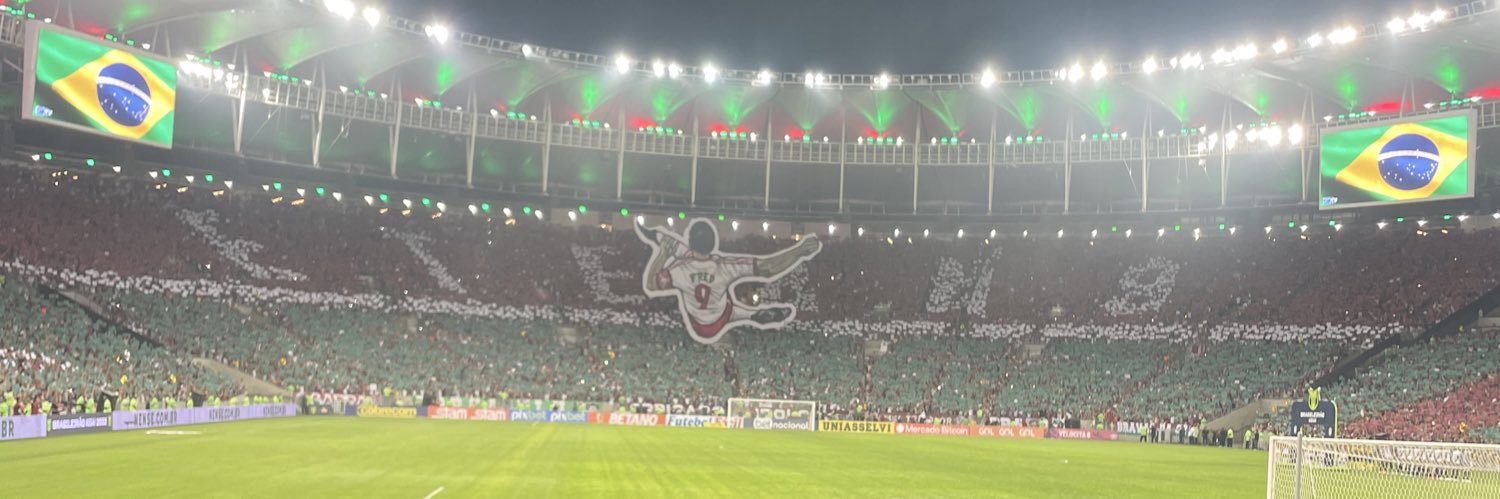 Henriqueᶠᶠᶜ 🔥 banner