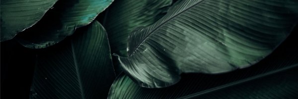 mbayon_ Profile Banner