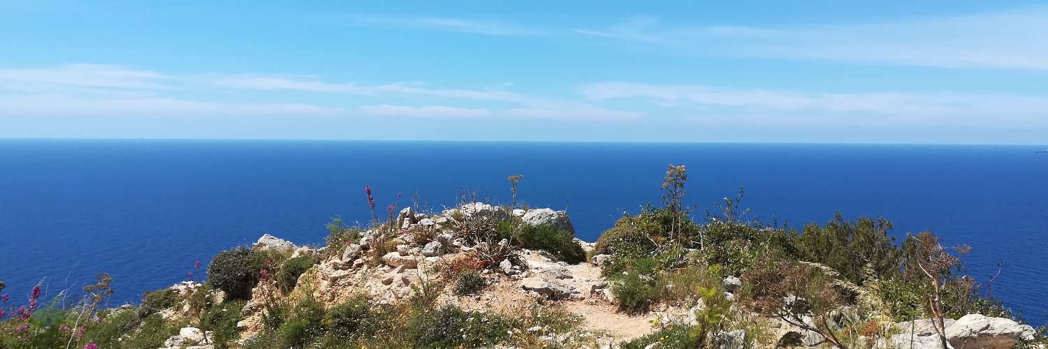 Anna Giulia Salvadori banner