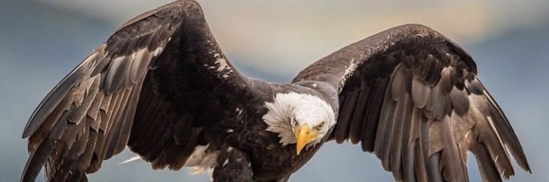 Bgbg1973's profile banner image