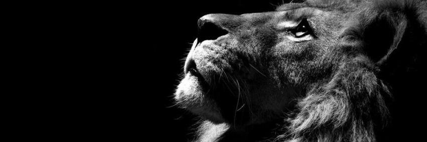 Cintia_4's profile banner image