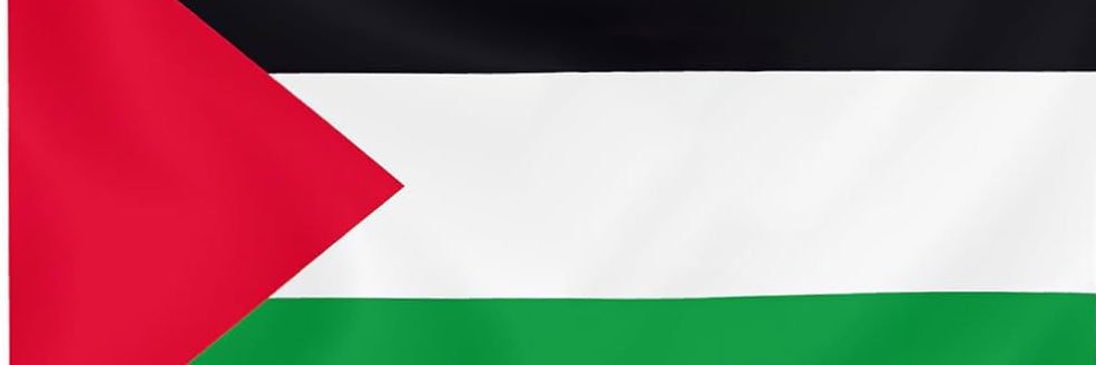 PvUbais's profile banner image