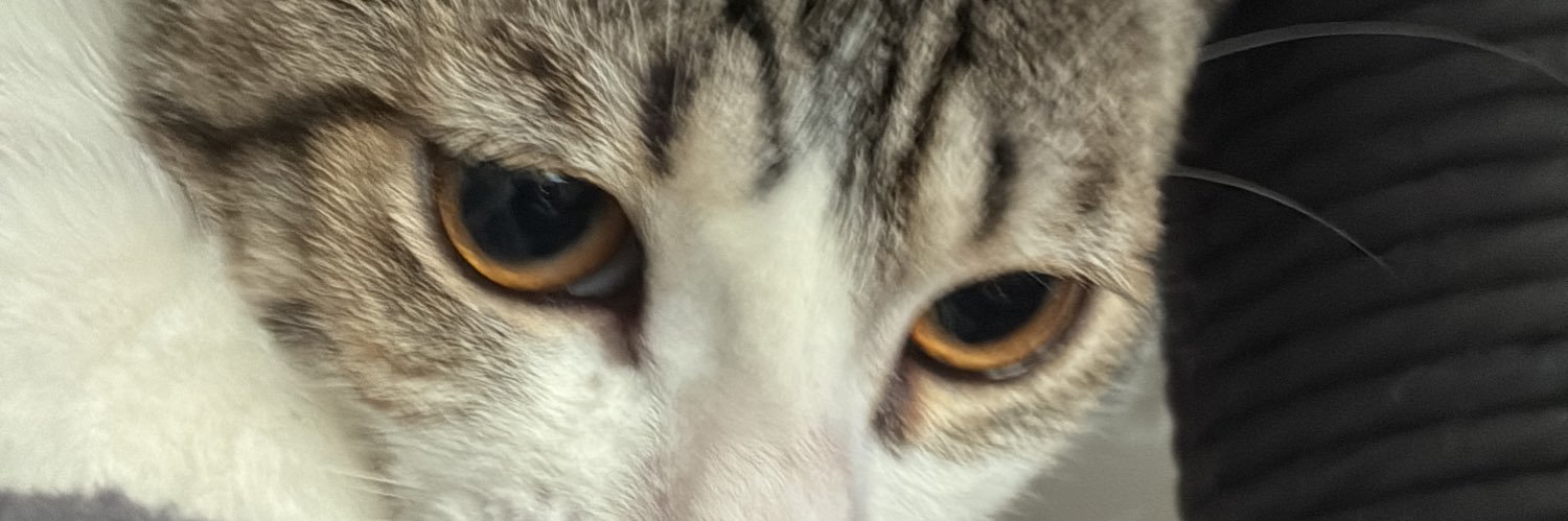 jm____72's profile banner image