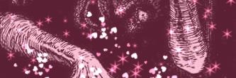 noname 003 banner