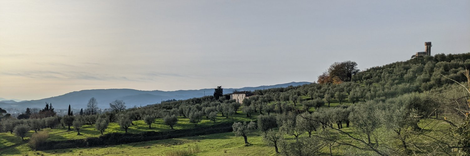 Riccardo Giraldi banner