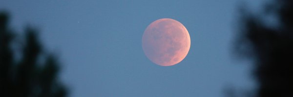 offlede Profile Banner